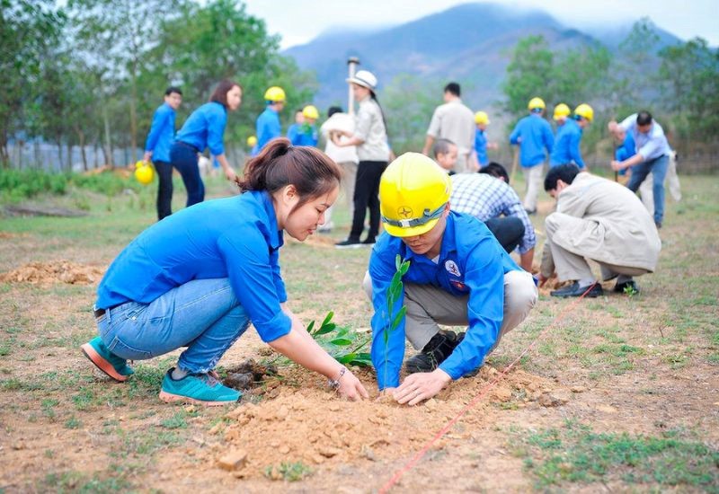 Kỹ Năng Cần Thiết Cho Lao Động Xanh